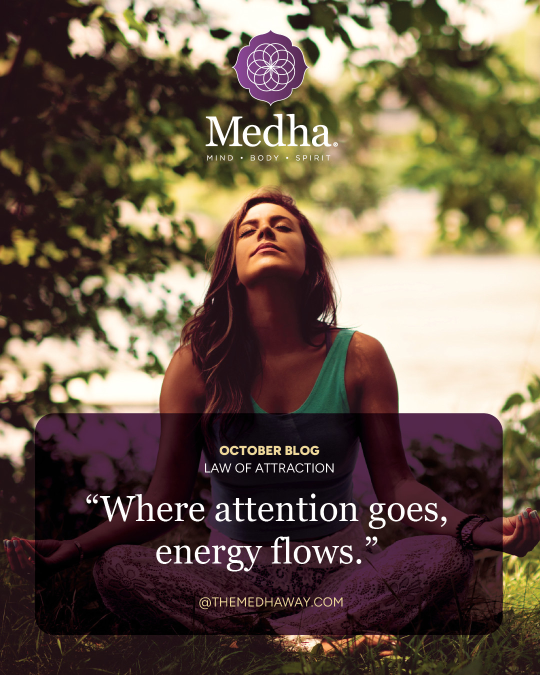 Law of Attraction: Where Attention Goes, Energy Flows